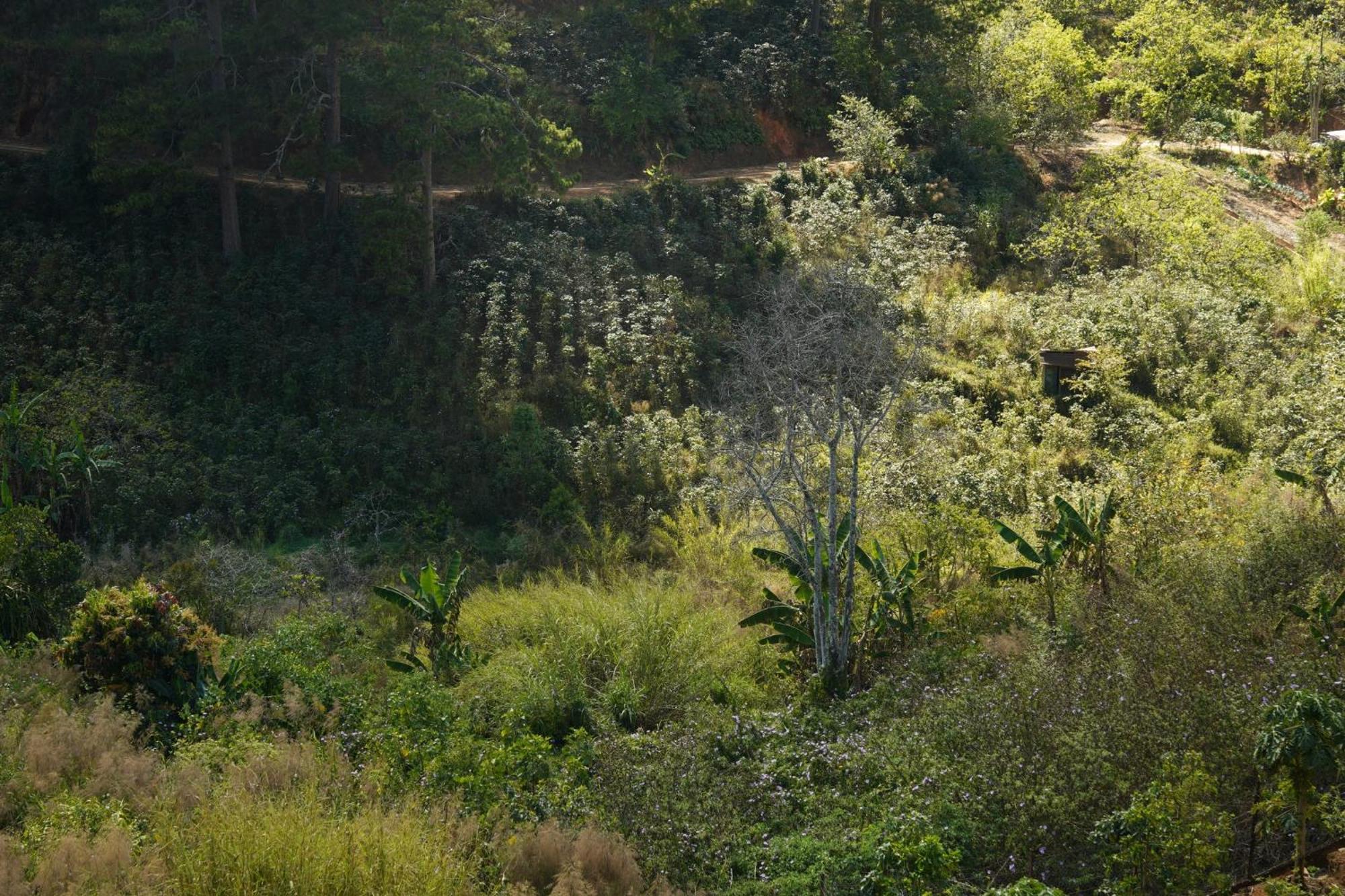 Emai Valley Dalat Bagian luar foto